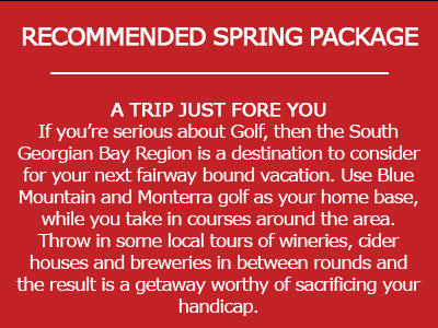 Image of Blue Mountain Resort Package