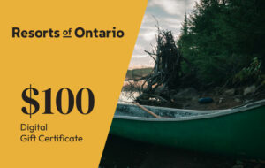 $100 Digital Gift Certificate