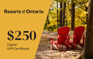 $250 Digital Gift Certificate