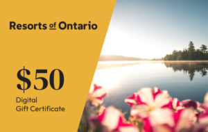 $50 Digital Gift Certificate