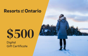 $500 Digital Gift Certificate
