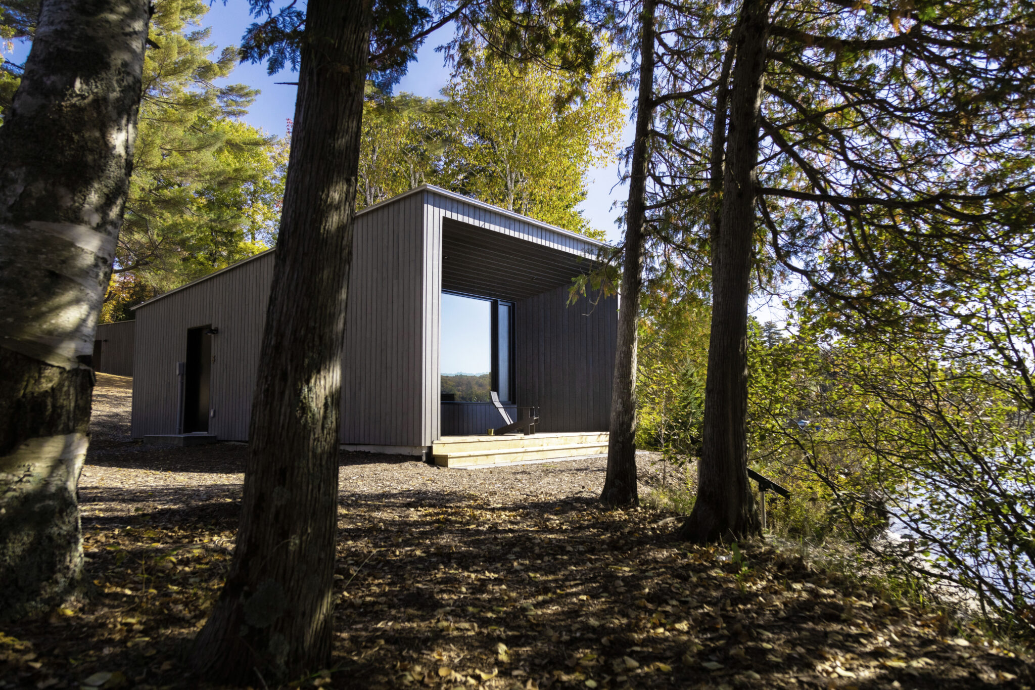 Dimensions_Summer_Photo