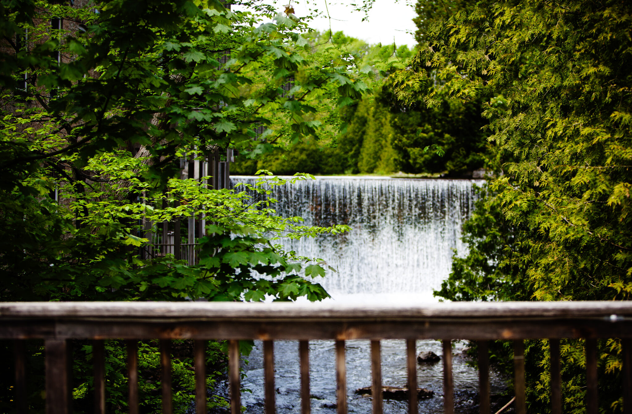 Millcroft-110-Edit