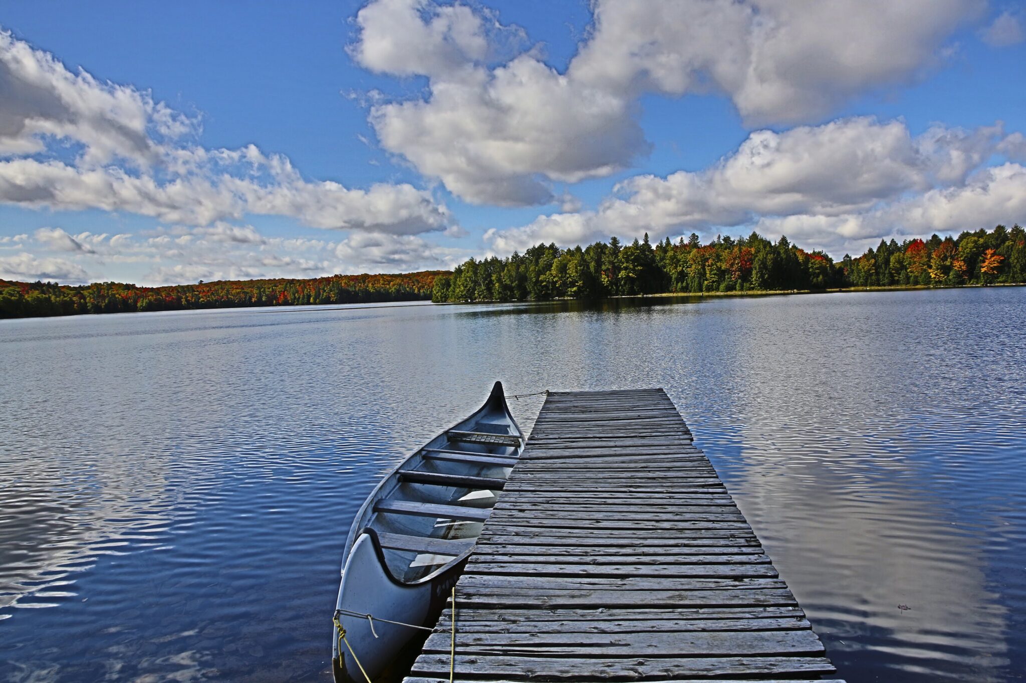 logcabindock and north canoe blue