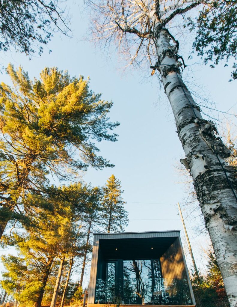 Image of fall trees at Dimensions