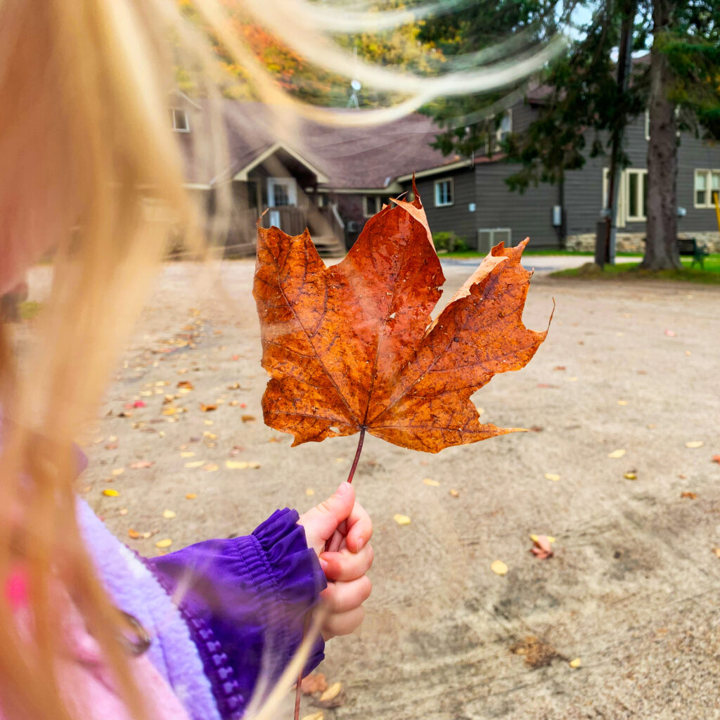 Image of a girl holding a leaf at Blue Water Acres - Resorts of Ontario