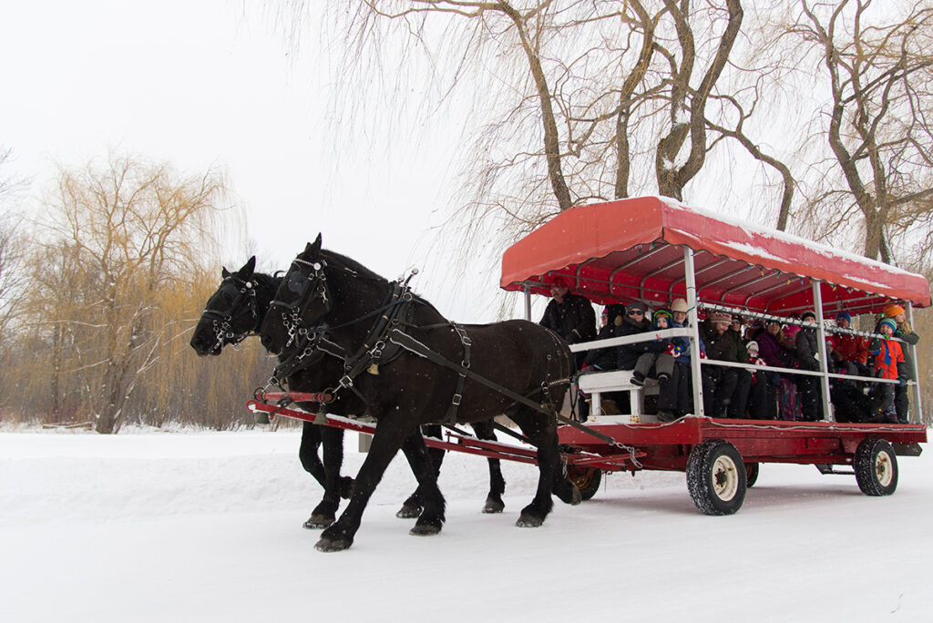 Image of a horse wagon ride in the winter at Fern Resort - Resorts of Ontario
