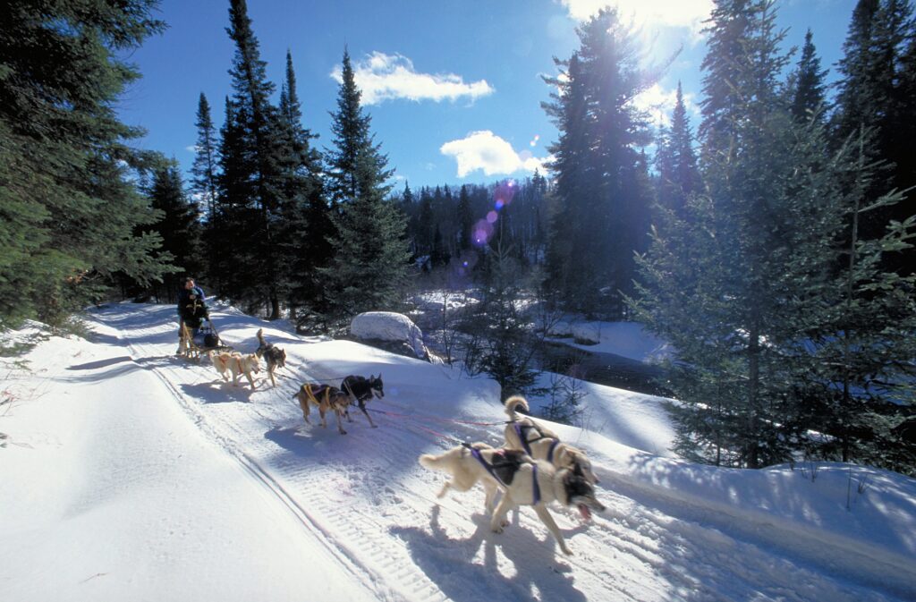 Image of dog sledding at Voyageur Quest - Resorts of Ontario