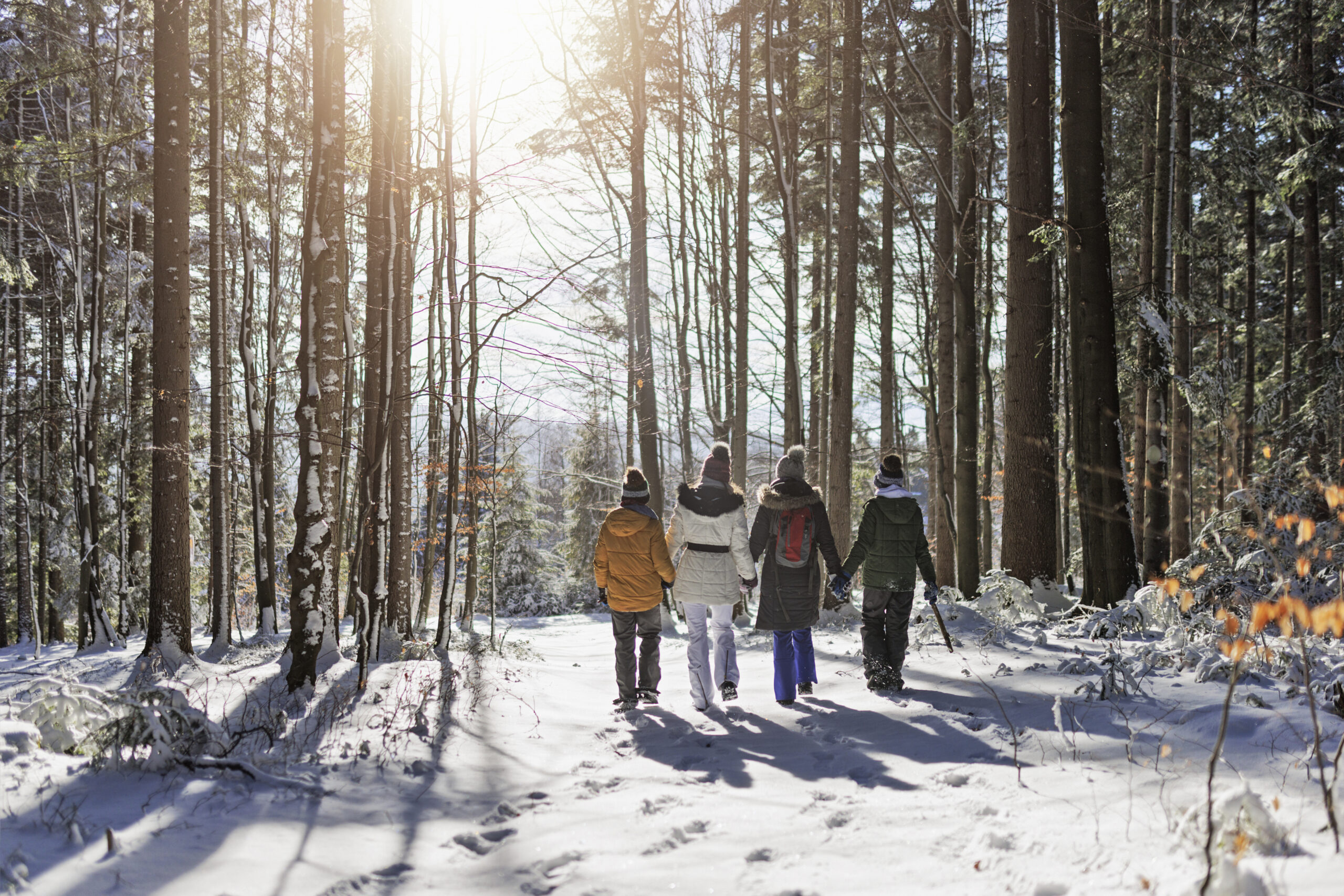 Stock image of people walking in the forest in the winter - Resorts of Ontario