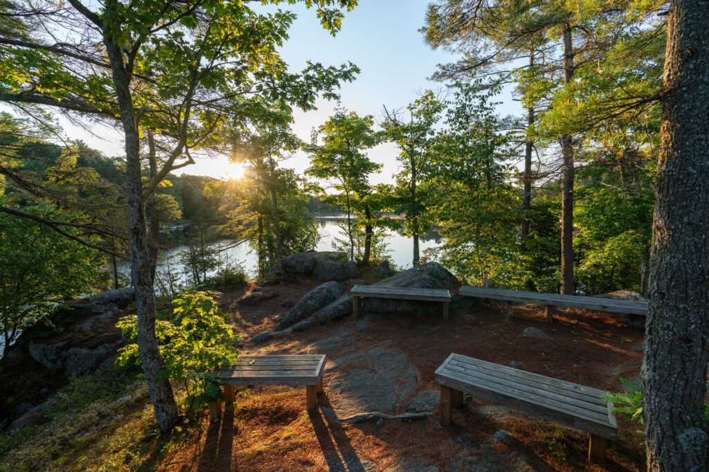 A Practical Guide to Ontario's Georgian Bay Shoreline cover